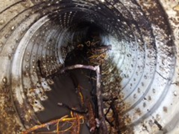 Drain Maintenance
